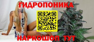 МДПВ Пыть-Ях