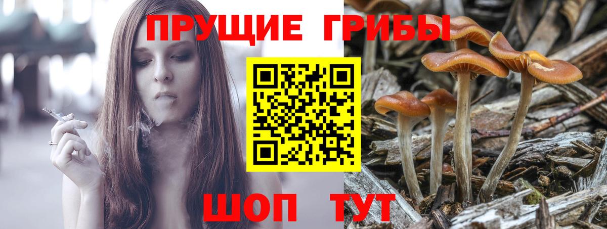 Галлюциногенные грибы мицелий Астрахань