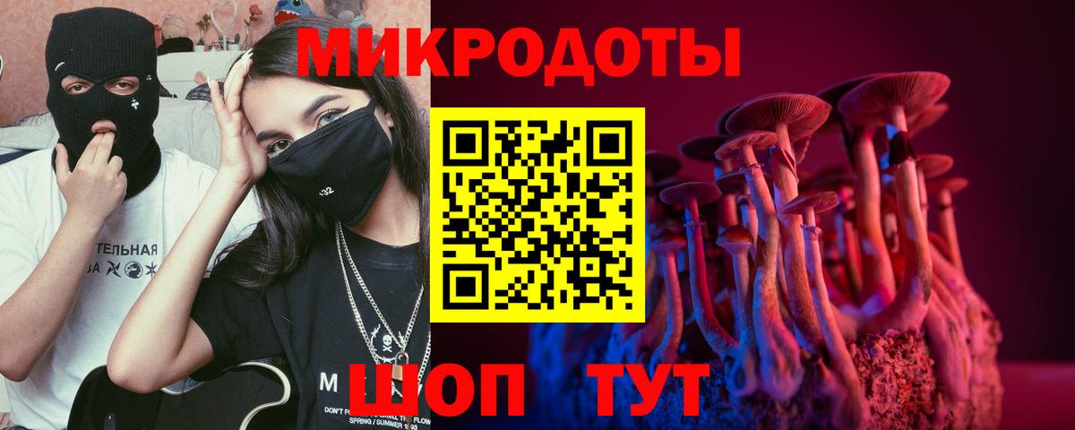 Галлюциногенные грибы Magic Shrooms  Вход с VPN  Астрахань  Псилоцибиновые грибы Psilocybine cubensis 